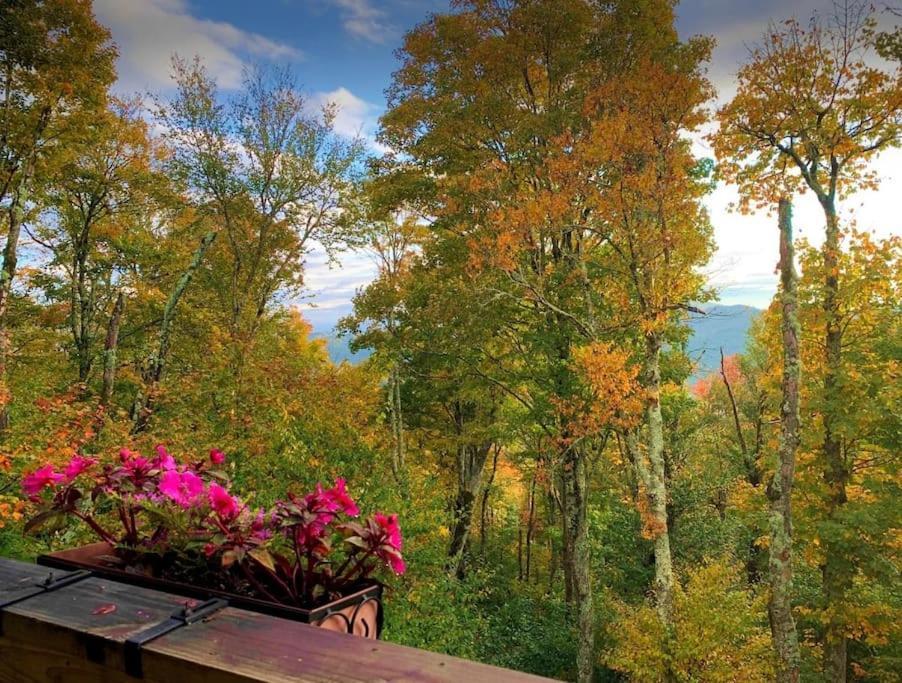 Appresski - 5 Bed Ski In Ski Out - 50 Steps To Ski Sugar Mountain Slopes Екстер'єр фото